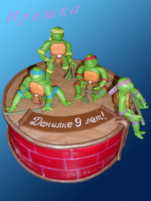 Teenage Mutant Ninja Turtles Cakes