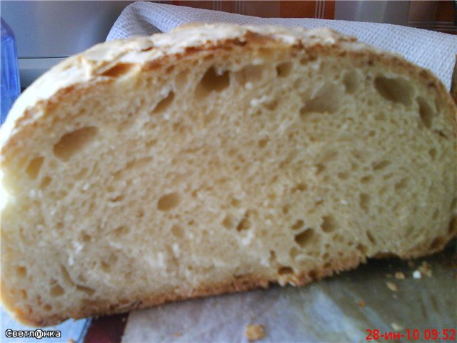 Italiaans brood (Ann Thibeault) in de oven