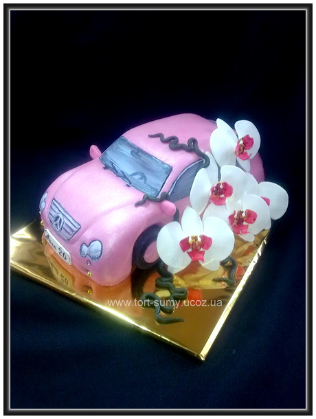 Transport (cake)