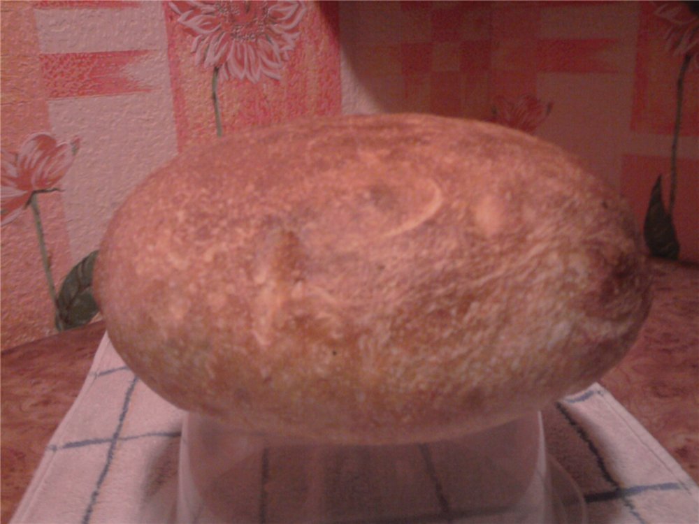 Italian bread (Ann Thibeault) in the oven