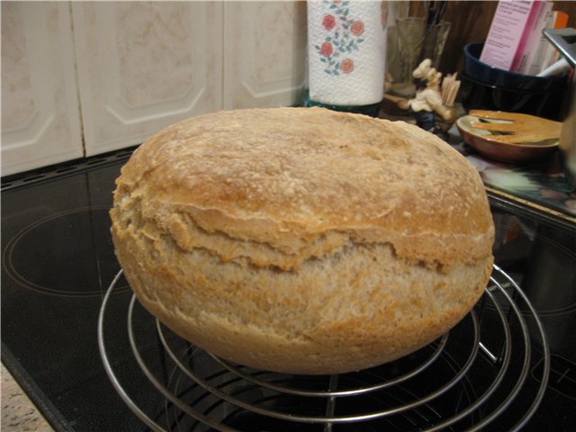 Italiaans brood (Ann Thibeault) in de oven