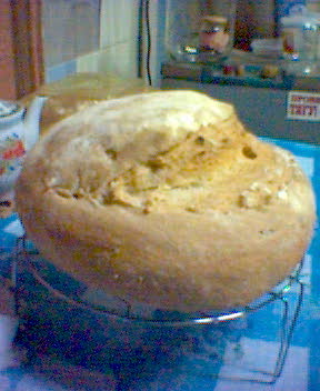 Pan de masa fermentada.