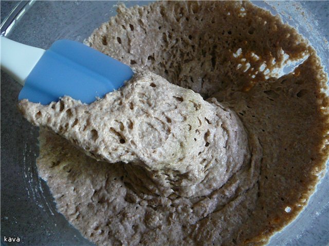 Pane alla contadina con spugna in una macchina per il pane