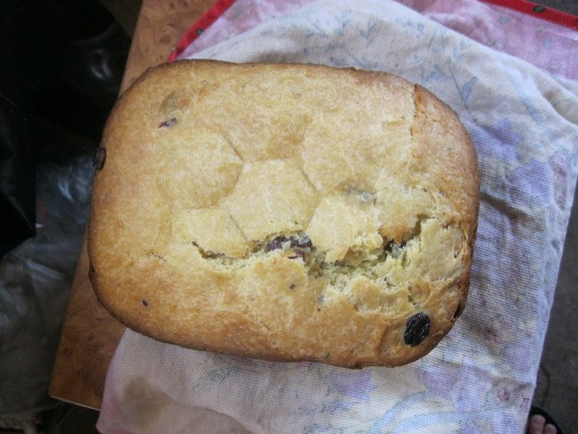 Boterbrood met rozijnen in een broodbakmachine