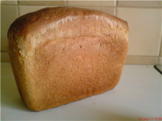 Pane italiano in una macchina per il pane