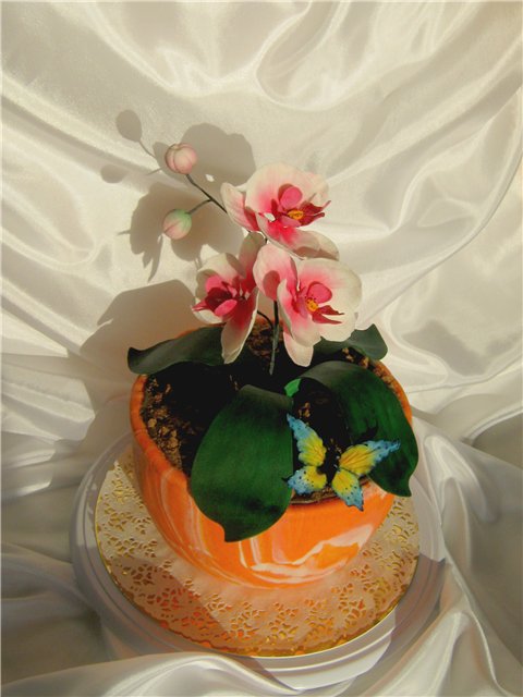 Torte di fiori