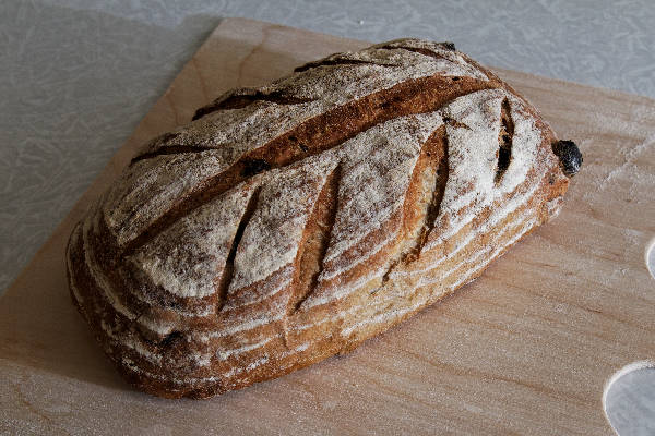 Pane con semi di cumino e uvetta (forno)