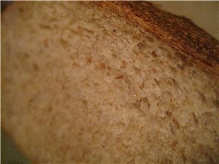 Whole Wheat 50:50 Impasto per Pane e Pizza (Peter Reinhart)