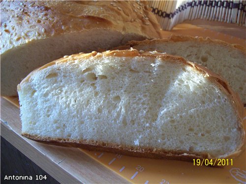 Torta al latte sul focolare (forno)