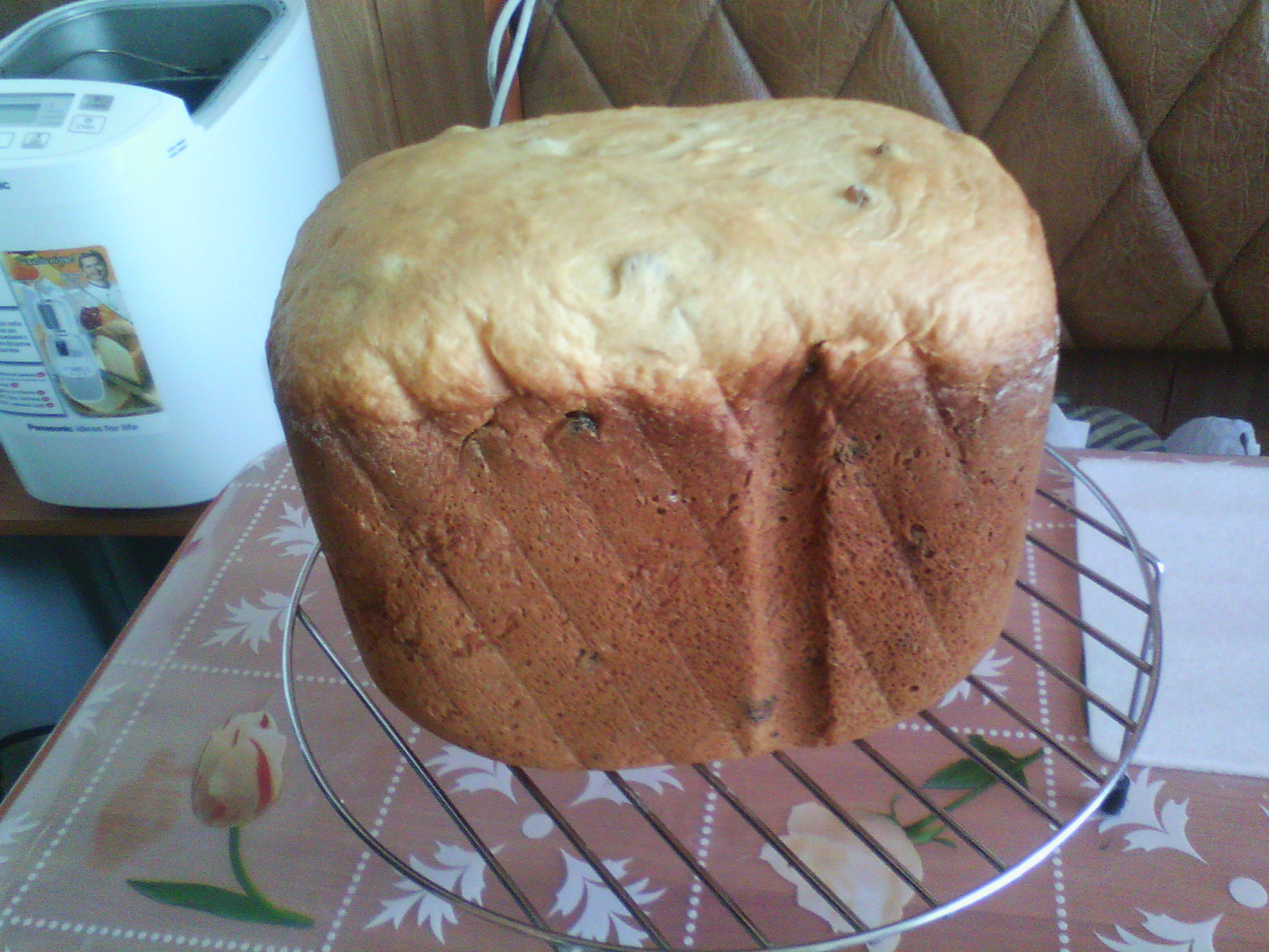 Kulich Royal bummer in a bread machine