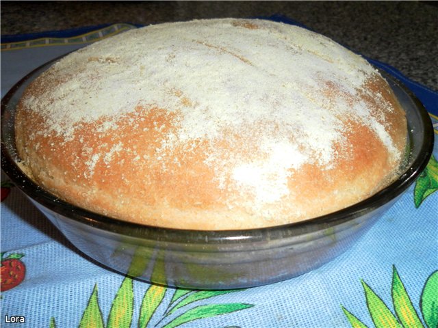 Anadama - Famous New England Bread (Peter Reinhart) (oven)