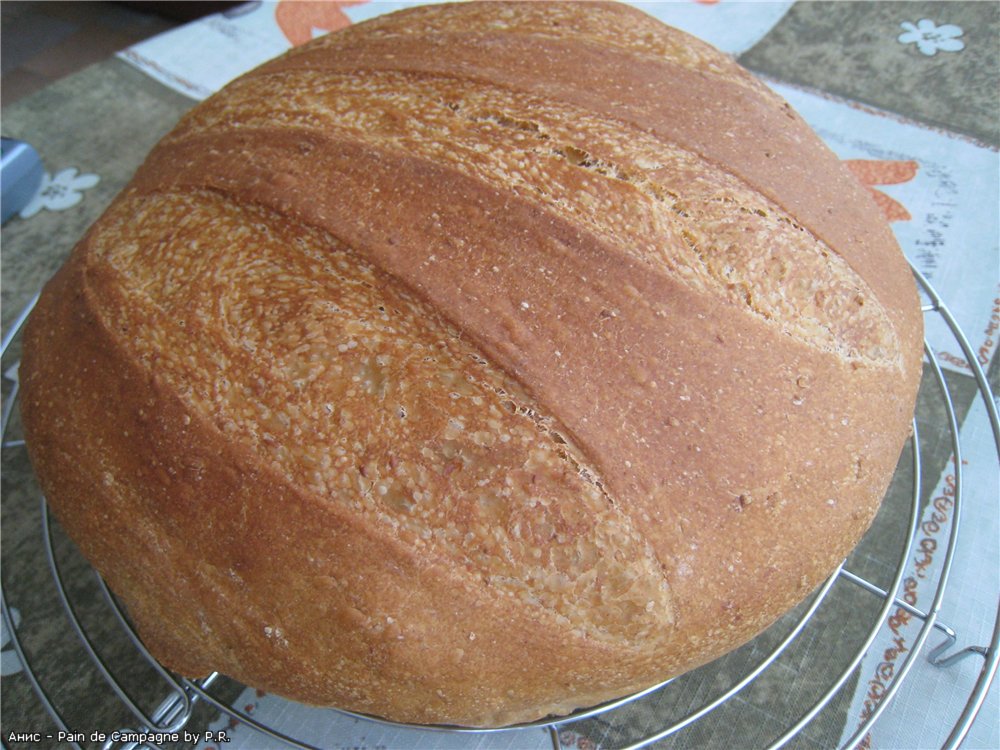 Pain de Campagne door Peter Reinhart (oven)