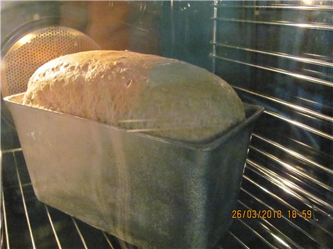 Sourdough bread in the oven