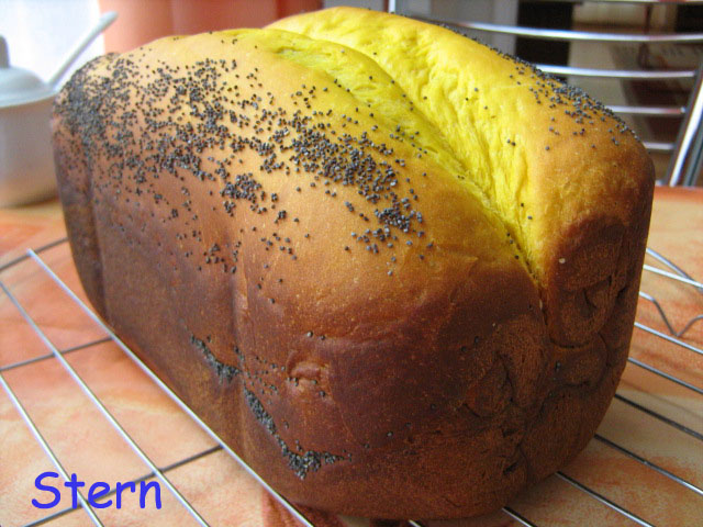 Ricciolo di burro zucca e papavero (macchina per il pane)