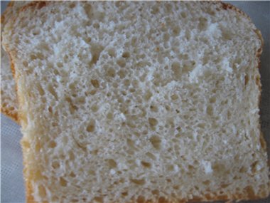 Pane arioso a lievitazione naturale