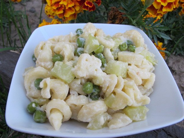 Pasta med courgette