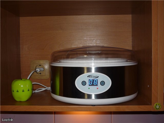 Yogurtiera marca 4001