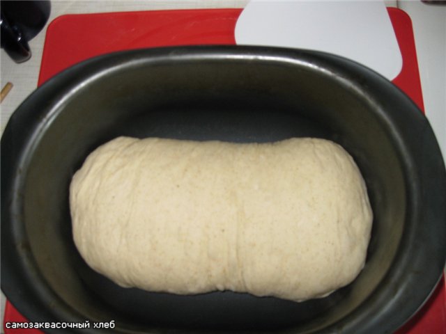 Pane di grano su pasta matura (autolievitazione)