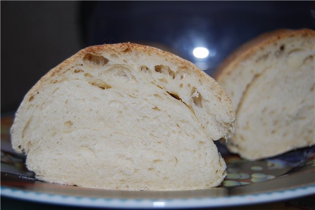 Ciabatta, Peter Reinhart (puliszkán)