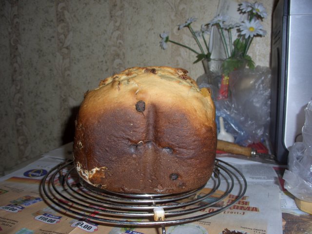 Curd bun sa isang gumagawa ng tinapay