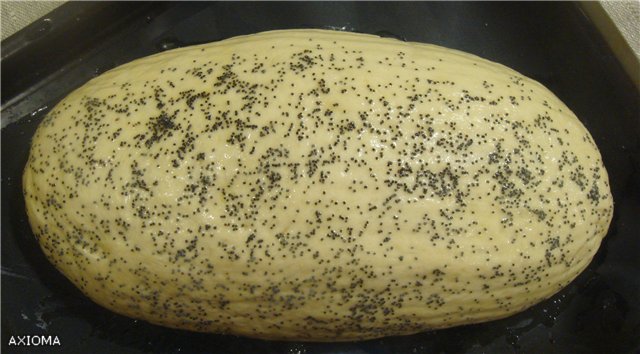 Zuurdesembrood (in de oven)