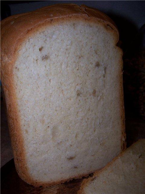 Macchina per il pane Delfa