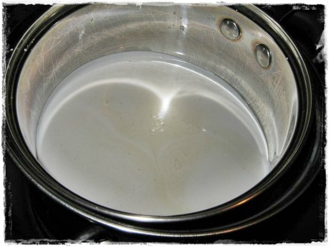 Homemade condensed milk