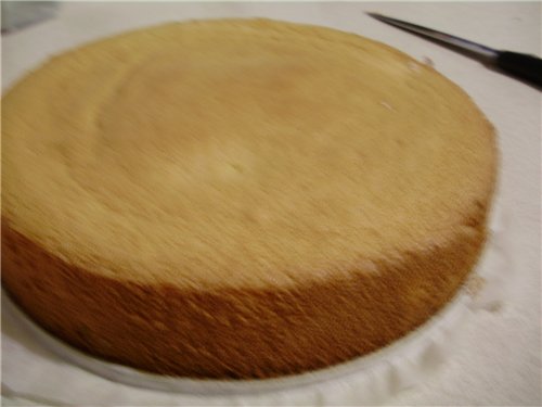 Stone (plate) for baking bread