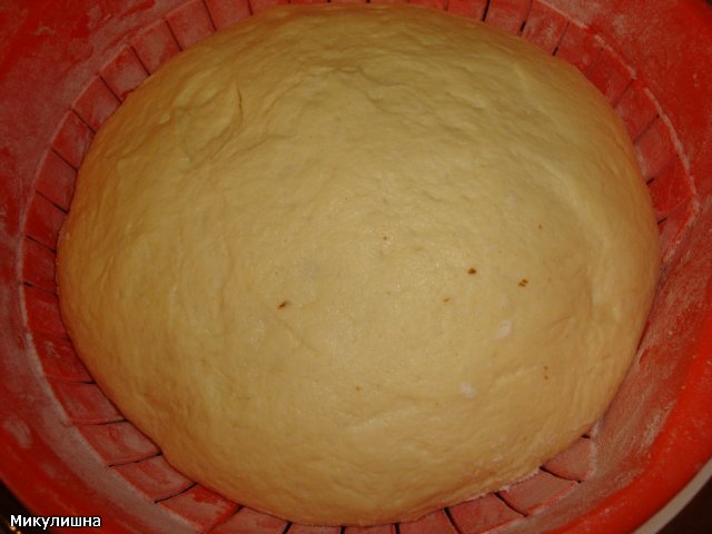 Pane tipo Altamura - Pane tipo Altamura