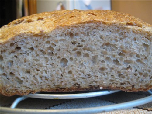 Zuurdesembrood met gedispergeerde tarwekorrel (in de oven)