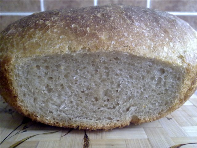 Pain de Campagne door Peter Reinhart (oven)