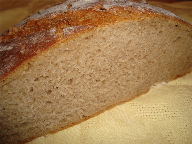 French modern sourdough (liquid)