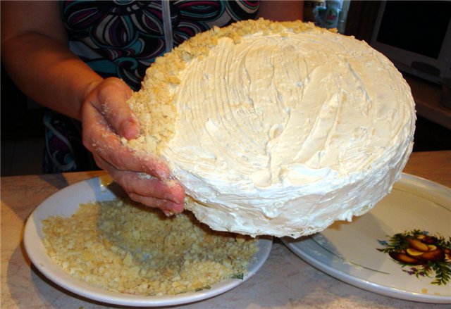 Choux tort de patiserie