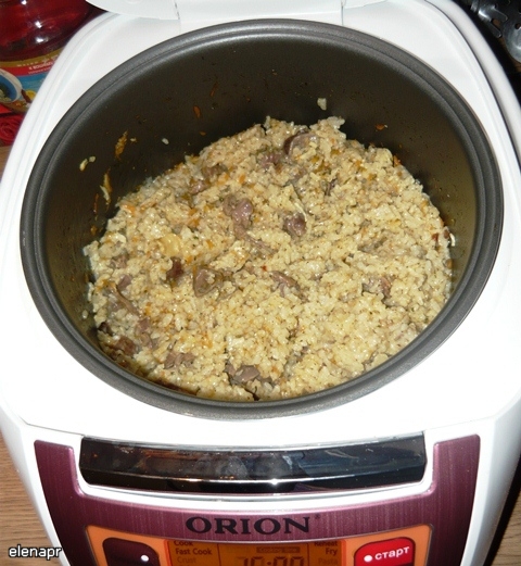 Multicooker Orion OR-MT01