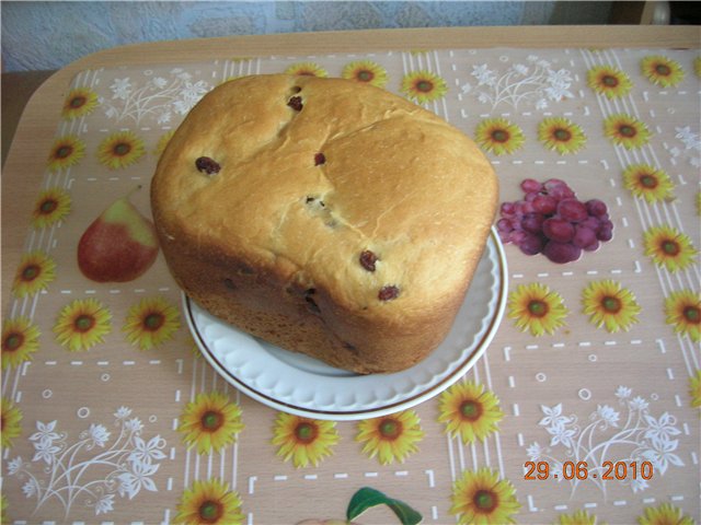 Pane con kefir in una macchina per il pane