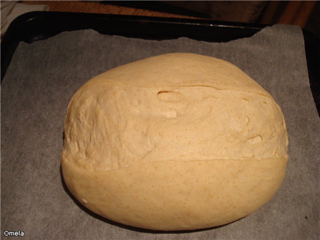 Pan de cuajada de trigo (horno)