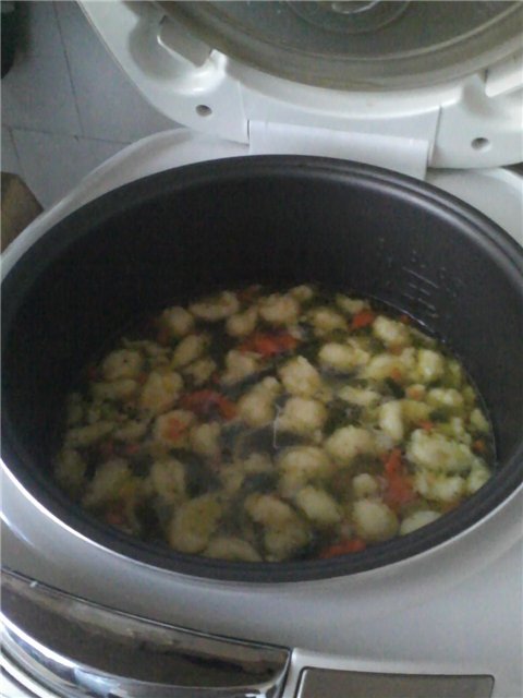 Zuppa di verdure con gnocchi di semolino in un multicooker Marca 502