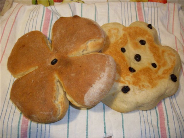 Bread in a pressure cooker (technology)