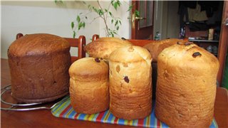 Kulich עם Myasoedovskaya בתנור (כיתת אמן)