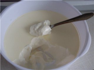 ¿Cómo hacer crema agria en una yogurtera?