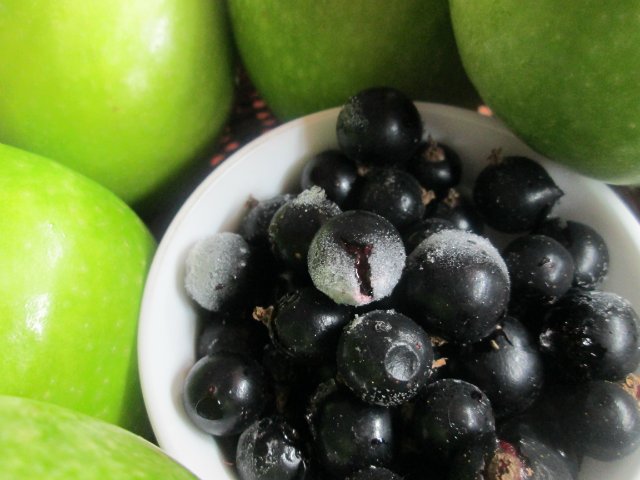 Ànec esmaltat amb gingebre i mel i salsa de grosella negra