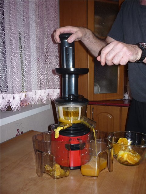 Auger juicer Brand 9100