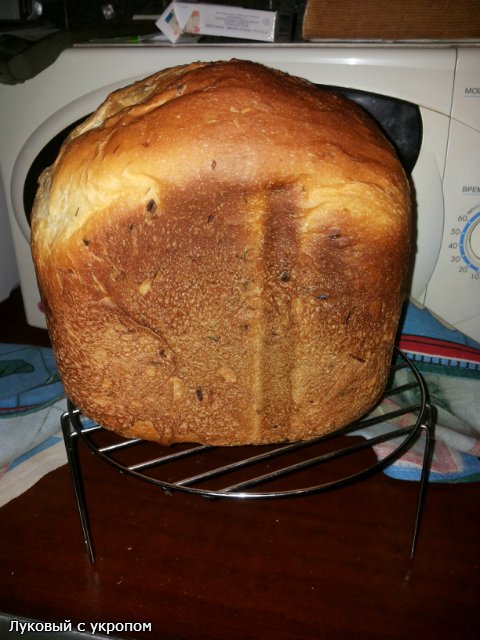 Pane alla cipolla e aneto (macchina per il pane)