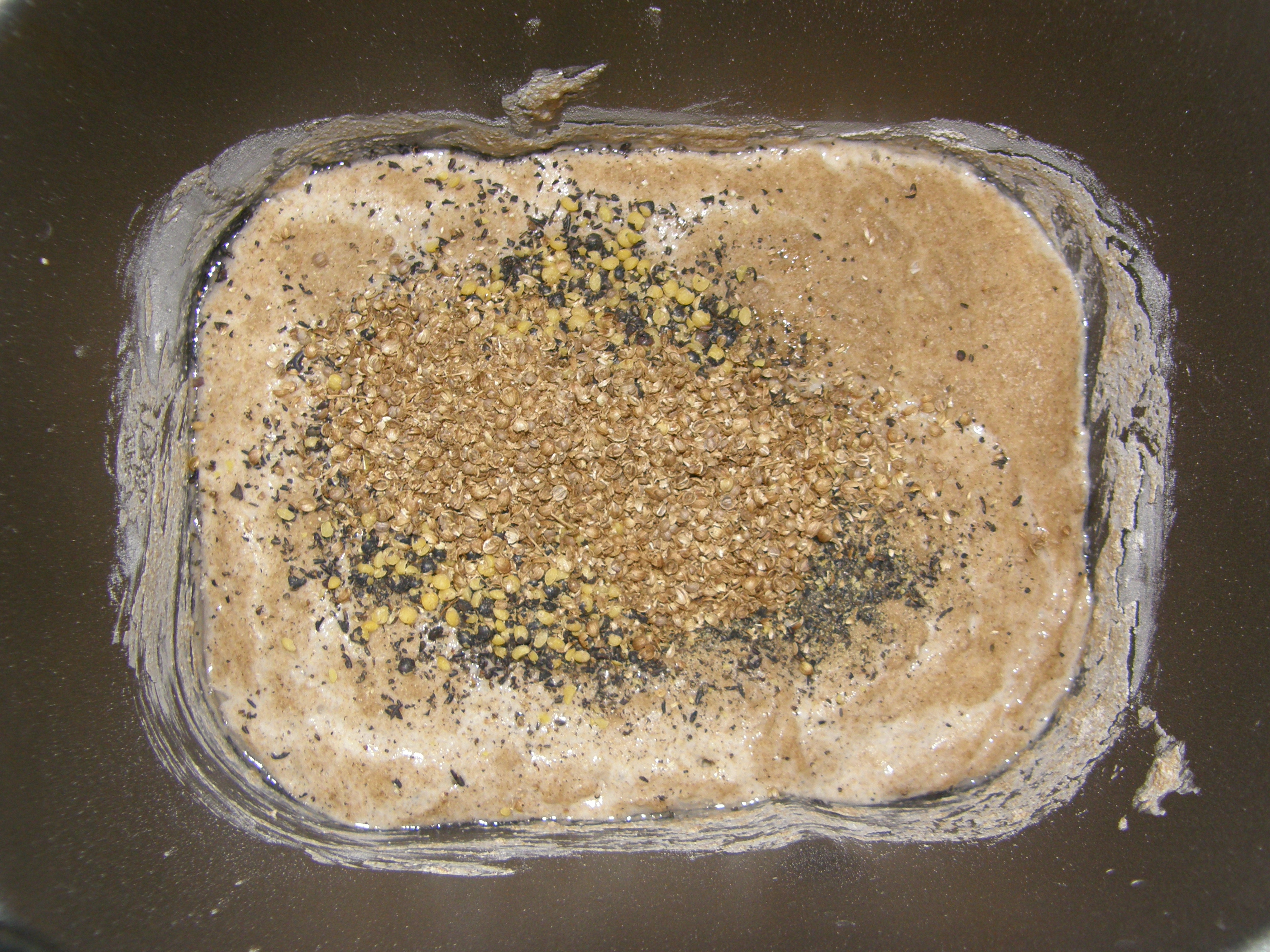 Pane di segale con lenticchie e coriandolo.