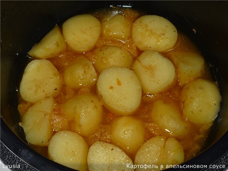 Kylling i appelsinsaft og poteter i appelsinsaus (merke 6050 trykkoker)