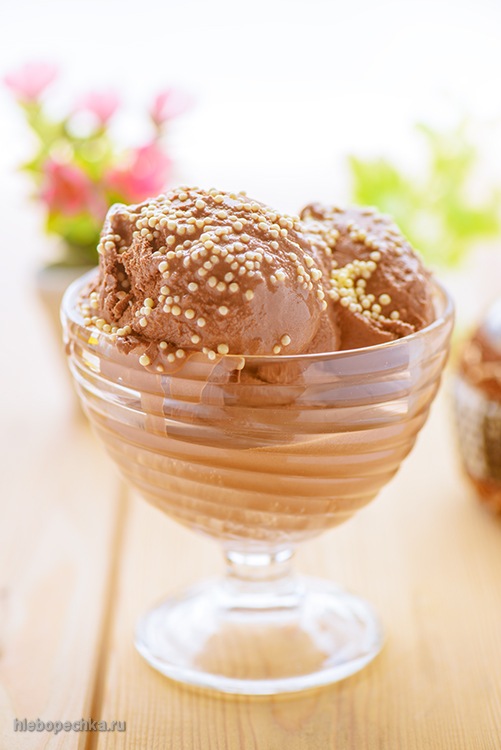 Yoghurt and chocolate ice cream in Brand 3811 ice cream maker