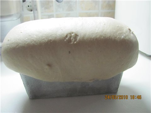 Pan de masa madre en el horno