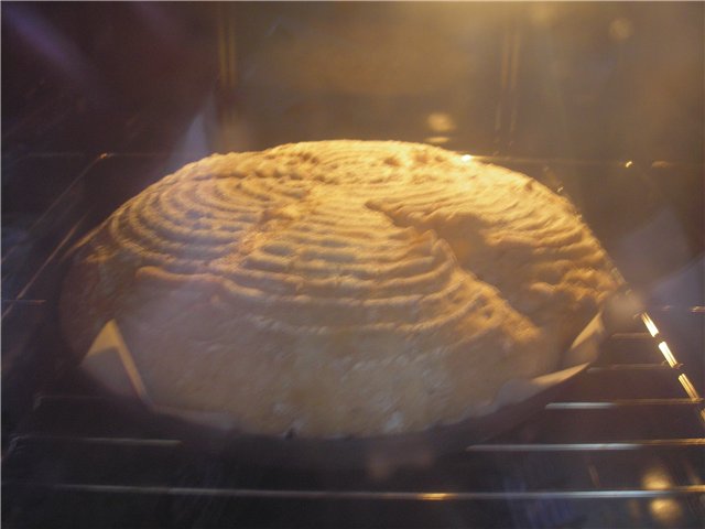 Wheat bread with whole grain flour on ripe dough without yeast