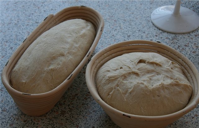 Pain de Campagne di Peter Reinhart (forno)