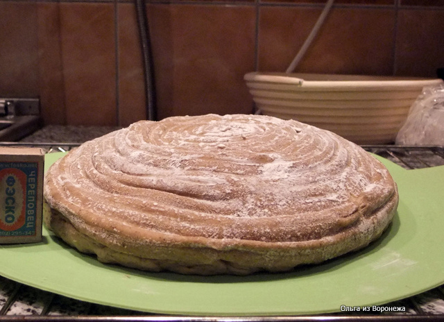 Rustic wheat bread (Pane Bigio) in the oven